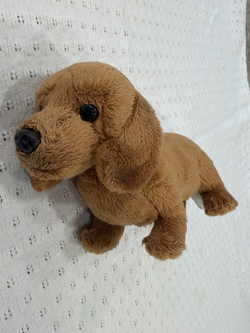 Plush Dog Toy